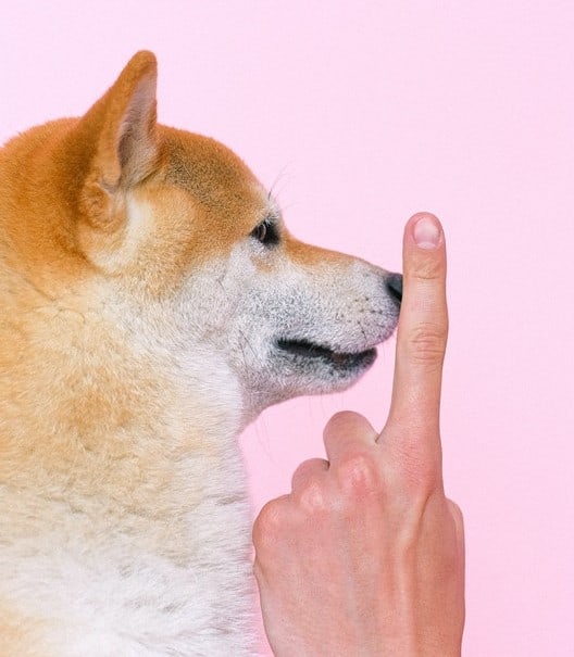 Dog Training Hand Signals - Eyes on Me