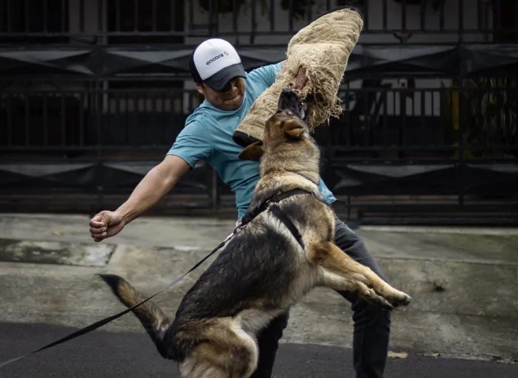 Dog bite sleeves should be durable to provide protection for the arms