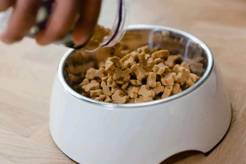 Many pets would love eating kibble softened by wet food