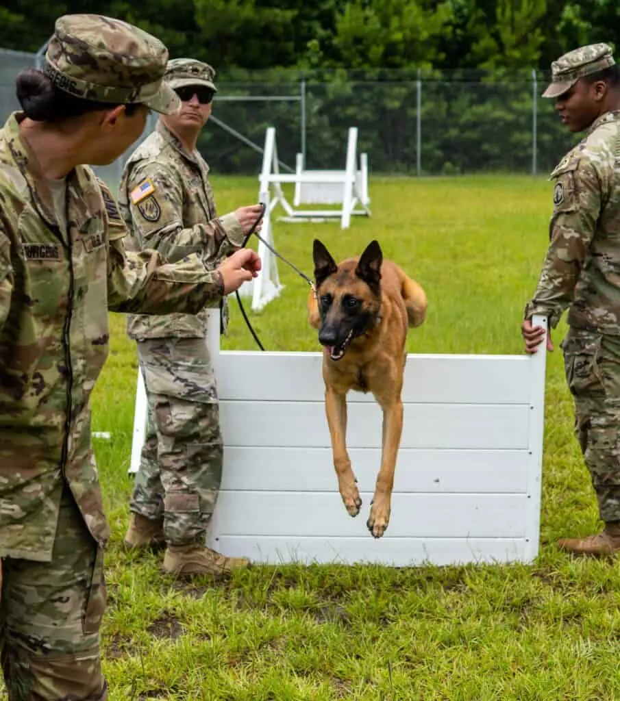 Various equipment are used for effective training