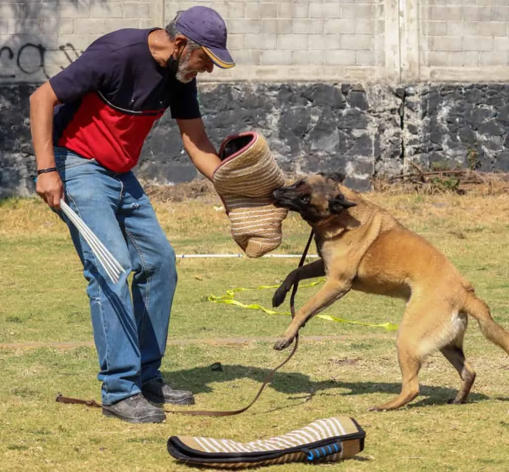 bite sleeve for dogs