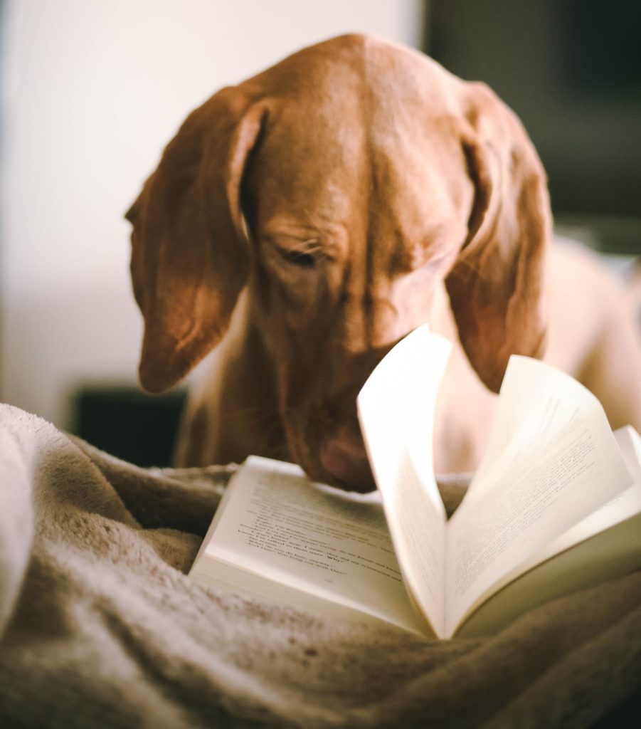 Books have topics on dog psychology, positive training methods, crate training, clicker training, training for kids, etc.