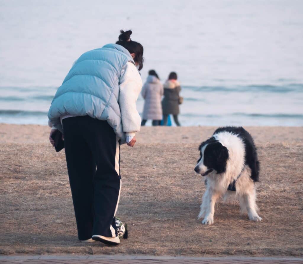 If your dog bites someone, tell the victim to stay calm and stop moving and remove your dog immediately