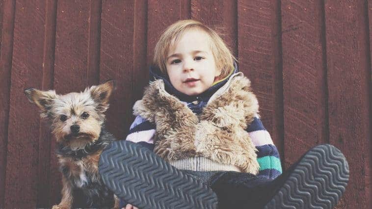 best dogs for kids