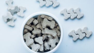 The Best Dog Training Treats