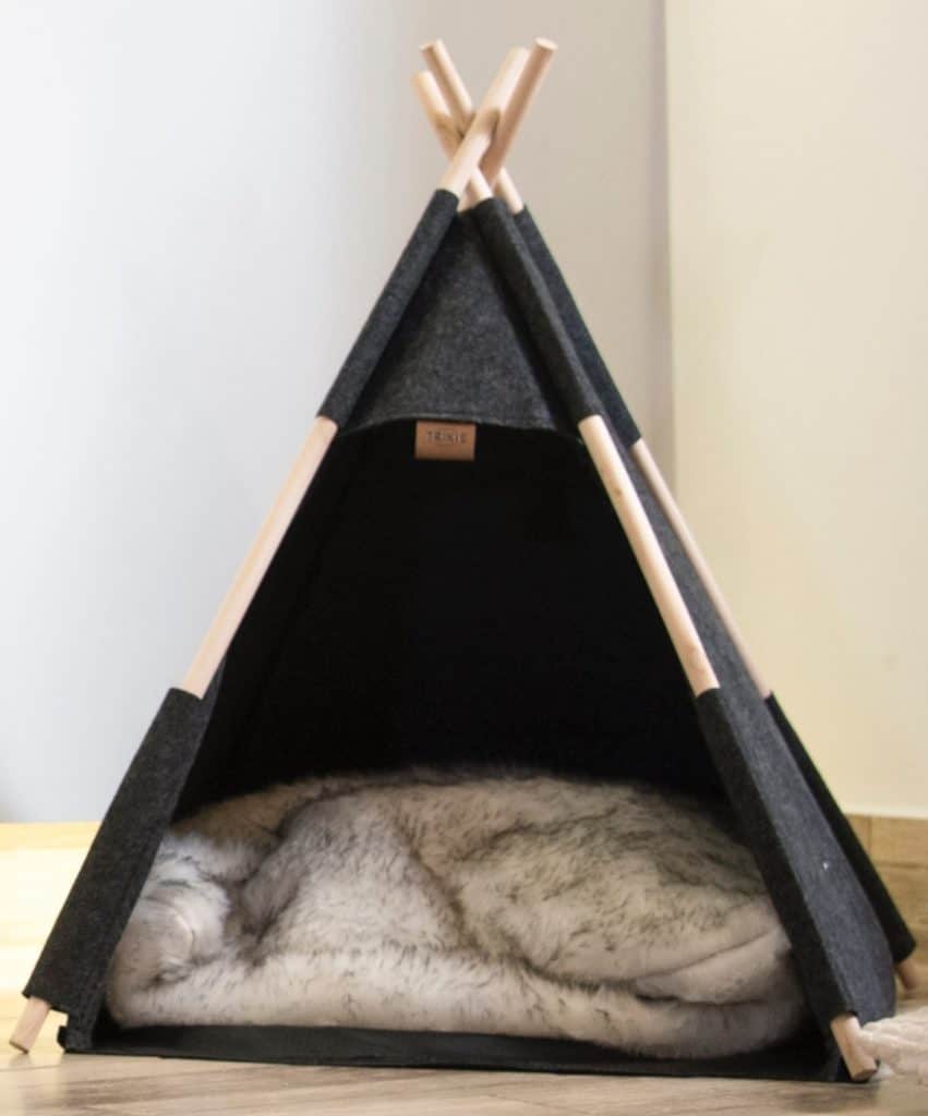 Reward your dogs when they utilize their dog houses properly