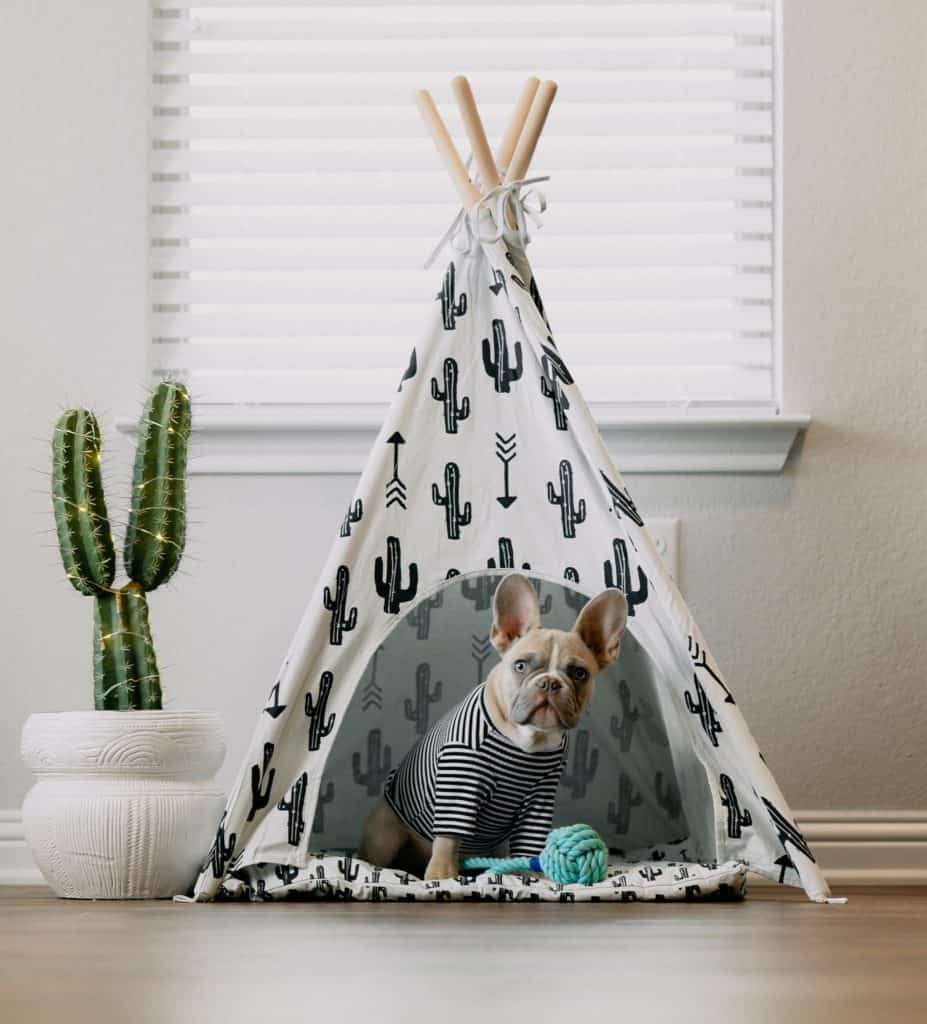 Simple dog house