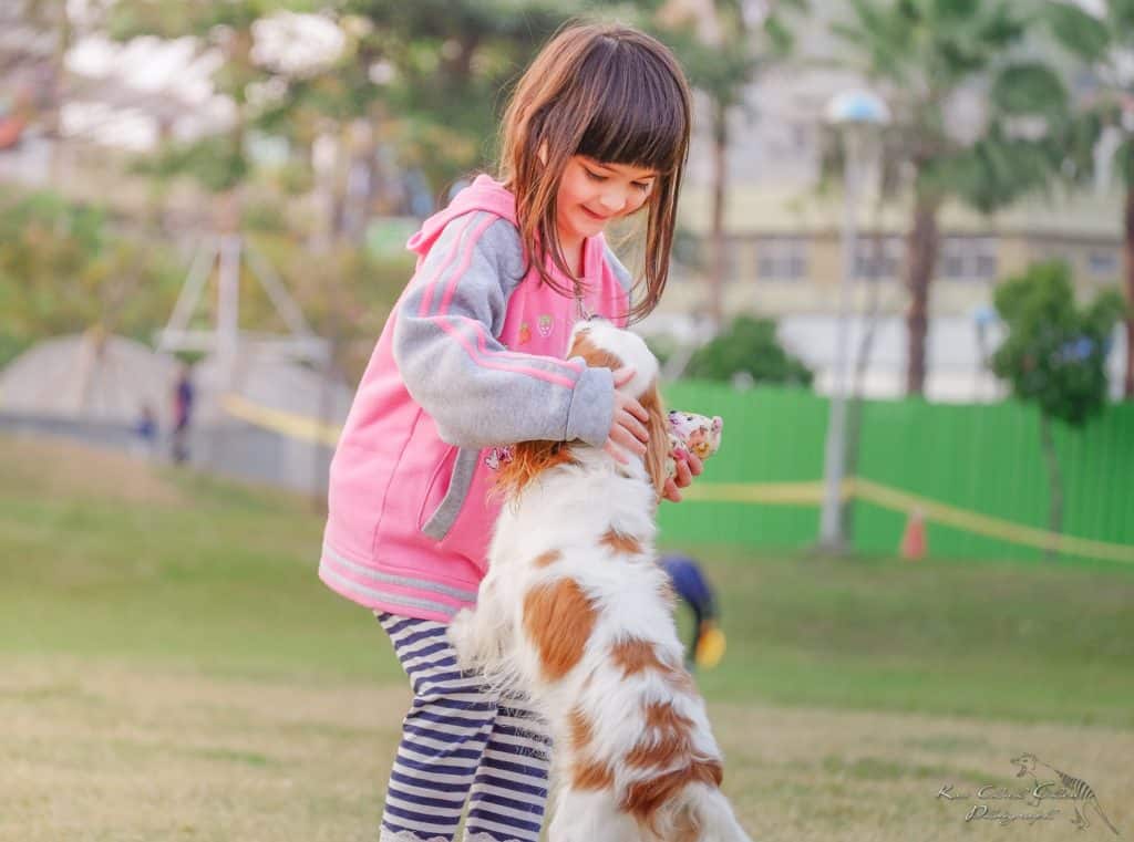 Allow puppies to play appropriately as part of socialization