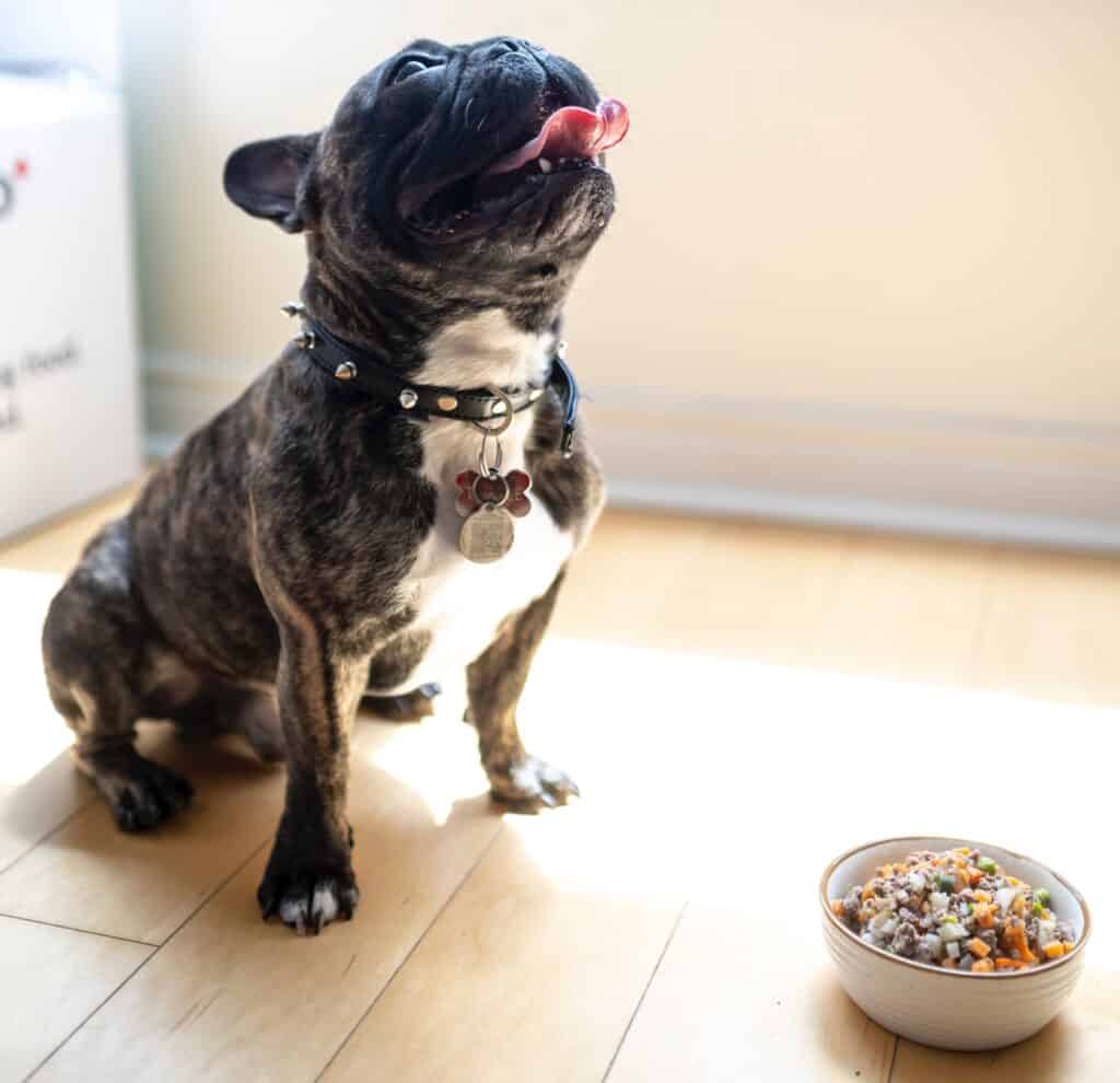 Feed dogs with mixed foods for a complete meal that would provide their nutritional needs