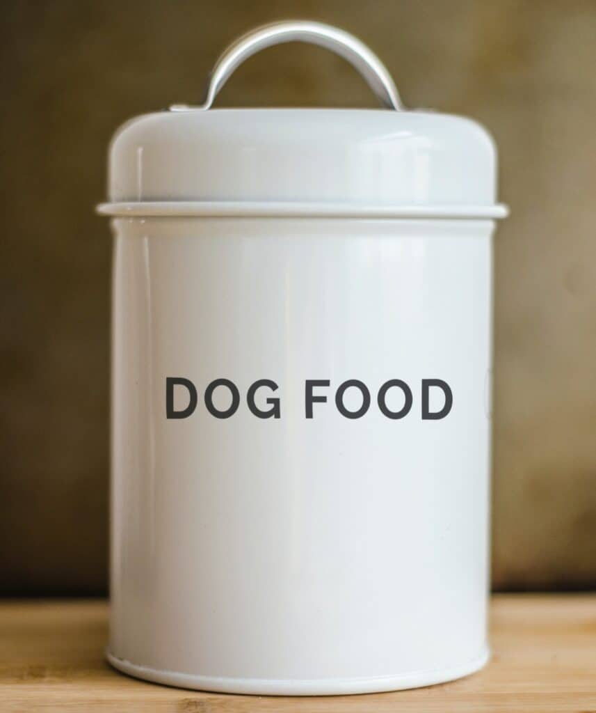 Stainless steel airtight container for storing wet food or dry kibbles