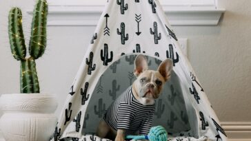 Soft Indoor Dog House
