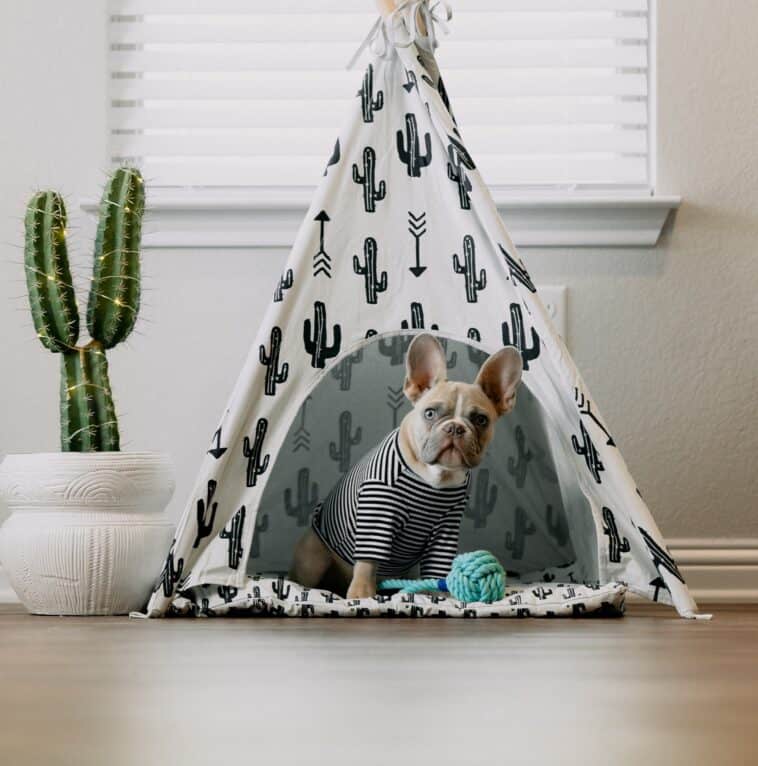 Soft Indoor Dog House