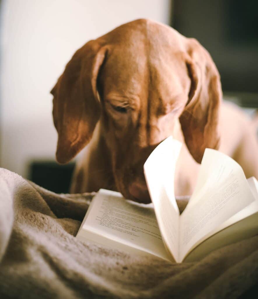 The Art of Raising a Puppy book review