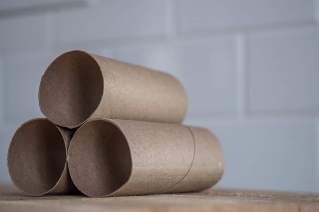 A cardboard tube works as a DIY slow feeder bowl