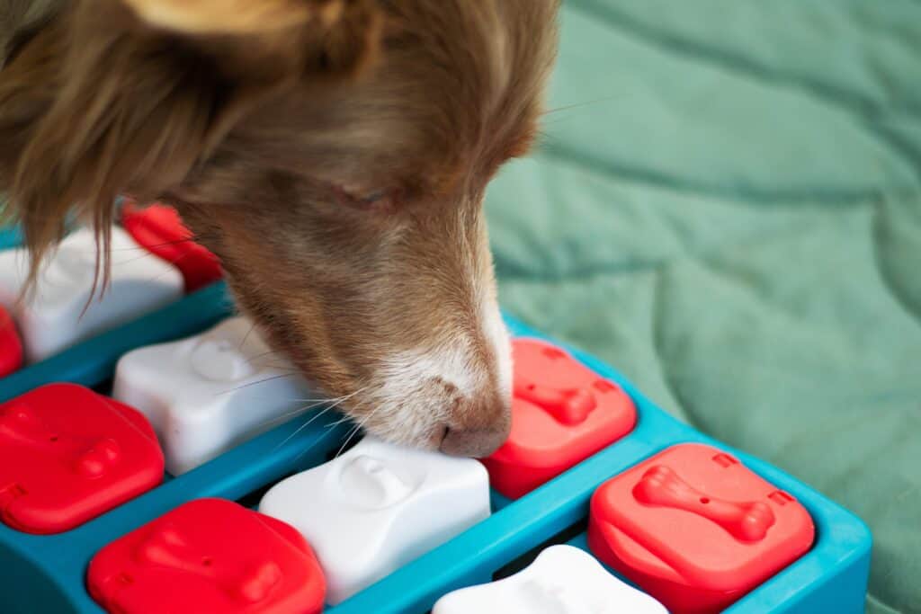 Slow feeder dog bowl