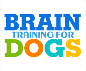 Brain trainig for dogs
