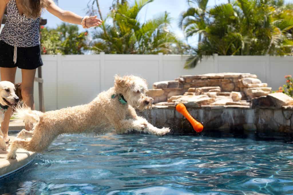 Pool float toys are great training accessories