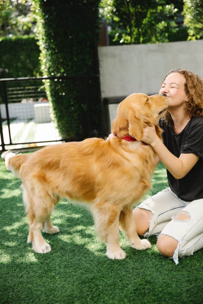 Dogs lick people as a kiss